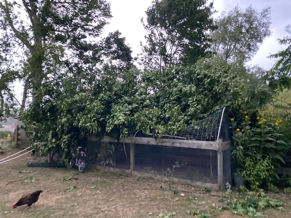 August 3, 2022 Severe Weather Summary